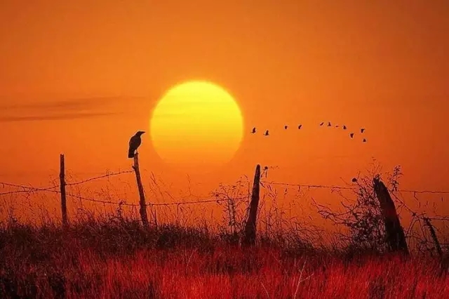 中庭人的一天！