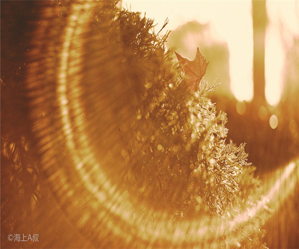 為什么大家喜歡在4月份裝修房子呢？