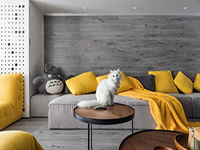 純干貨！家里有寵物的十個裝飾小建議